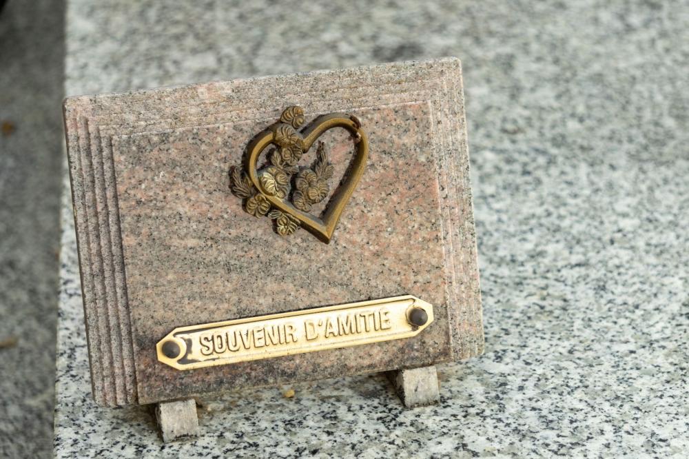 Plaque accessoire